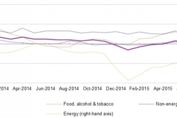 Inflazione immobile, manovra in bilico