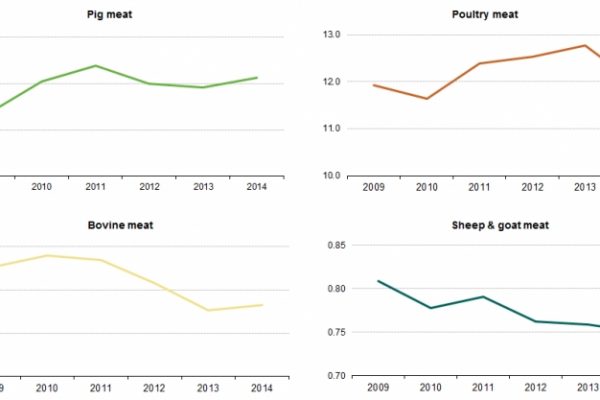 Toh… in Europa aumenta la produzione di maiali