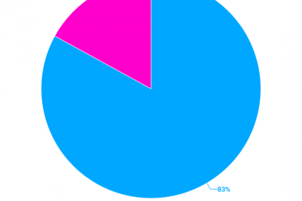 Le donne occidentali nell’Isis sono 550, ecco chi sono