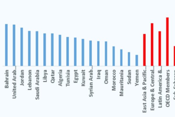 Nel mondo arabo si studia troppo poco