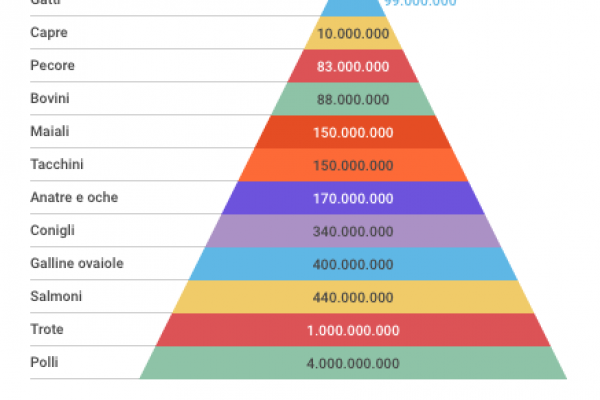 L’Europa vuole nuove leggi per il welfare degli animali
