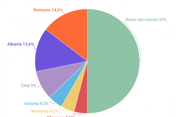 Cosa scelgono gli studenti stranieri in Italia all’Università