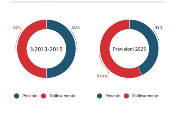 Metà del pesce che mangiamo è allevato