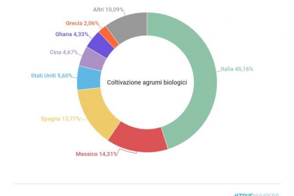 L’Italia è il primo produttore al mondo di agrumi biologici