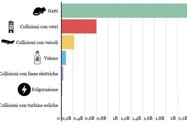 I gatti uccidono 2,4 miliardi di uccelli ogni anno