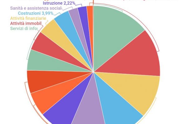 Le aziende partecipate dal pubblico sono 9.118