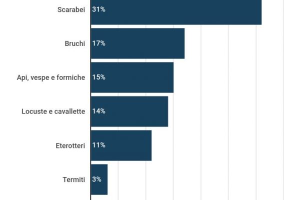 Insetti commestibili, abbiamo 2.111 specie a disposizione