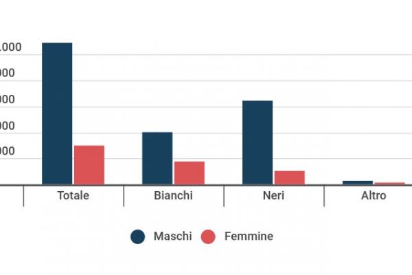 Gli omicidi in America aumentano del 29%