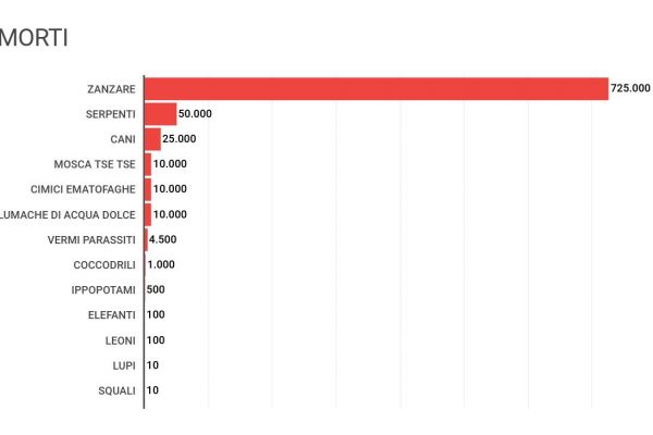 In Italia abbiamo 60 specie di zanzare: ecco le più pericolose