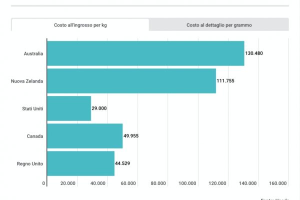 Il costo della cocaina? In Italia è di 80 euro al grammo