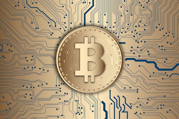Bitcoin: Quanti italiani usano questa criptovaluta? Quali sono i settori più gettonati?