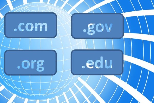 Quale ruolo svolgono i domini nel mondo digitale?