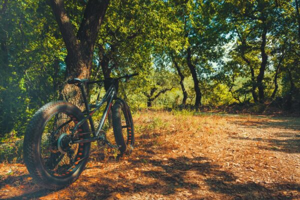 Engwe EP-2 Pro vs Fiido M1 Pro: qual è la migliore fat bike elettrica pieghevole?