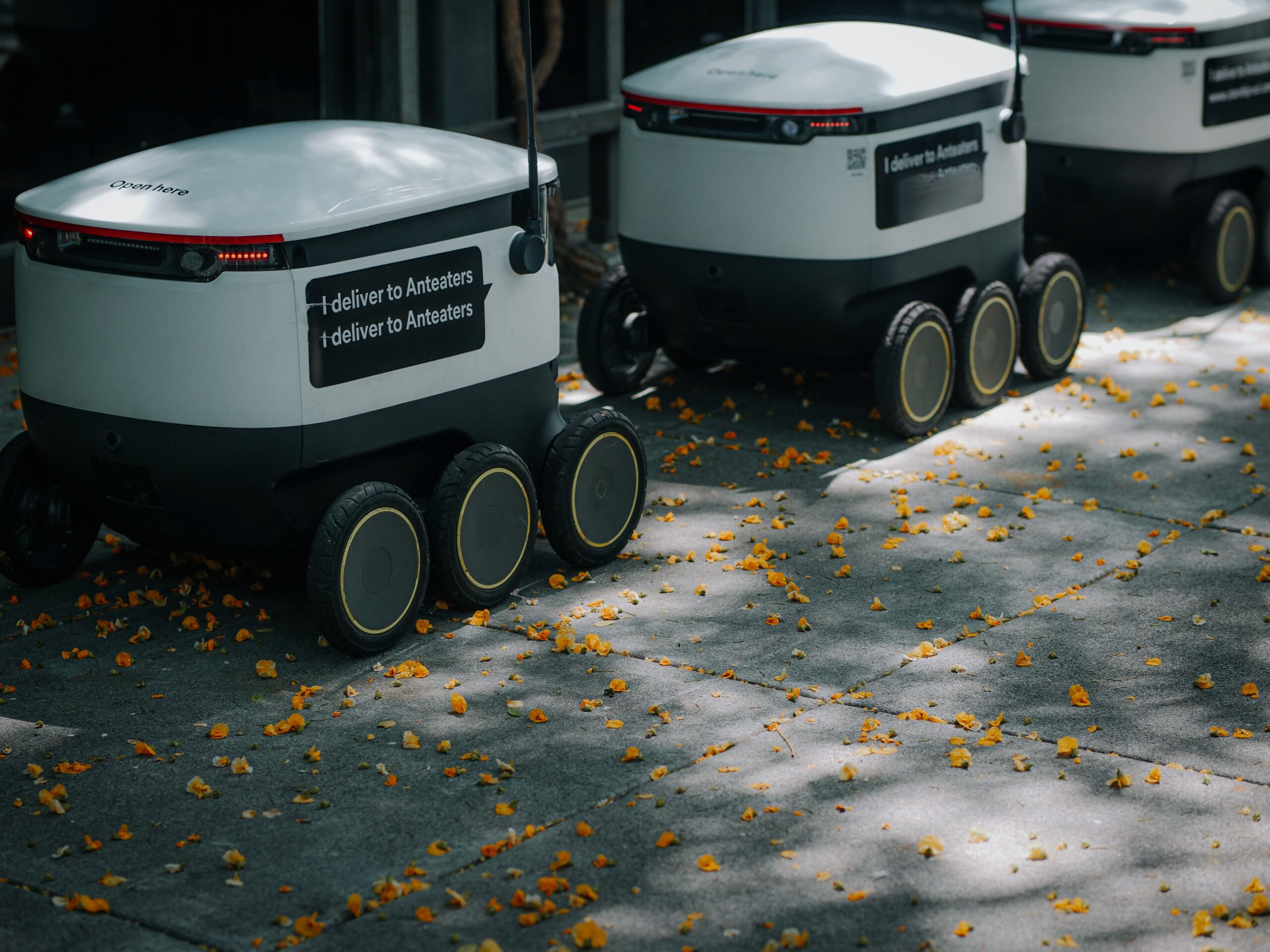 quanti robot servizio